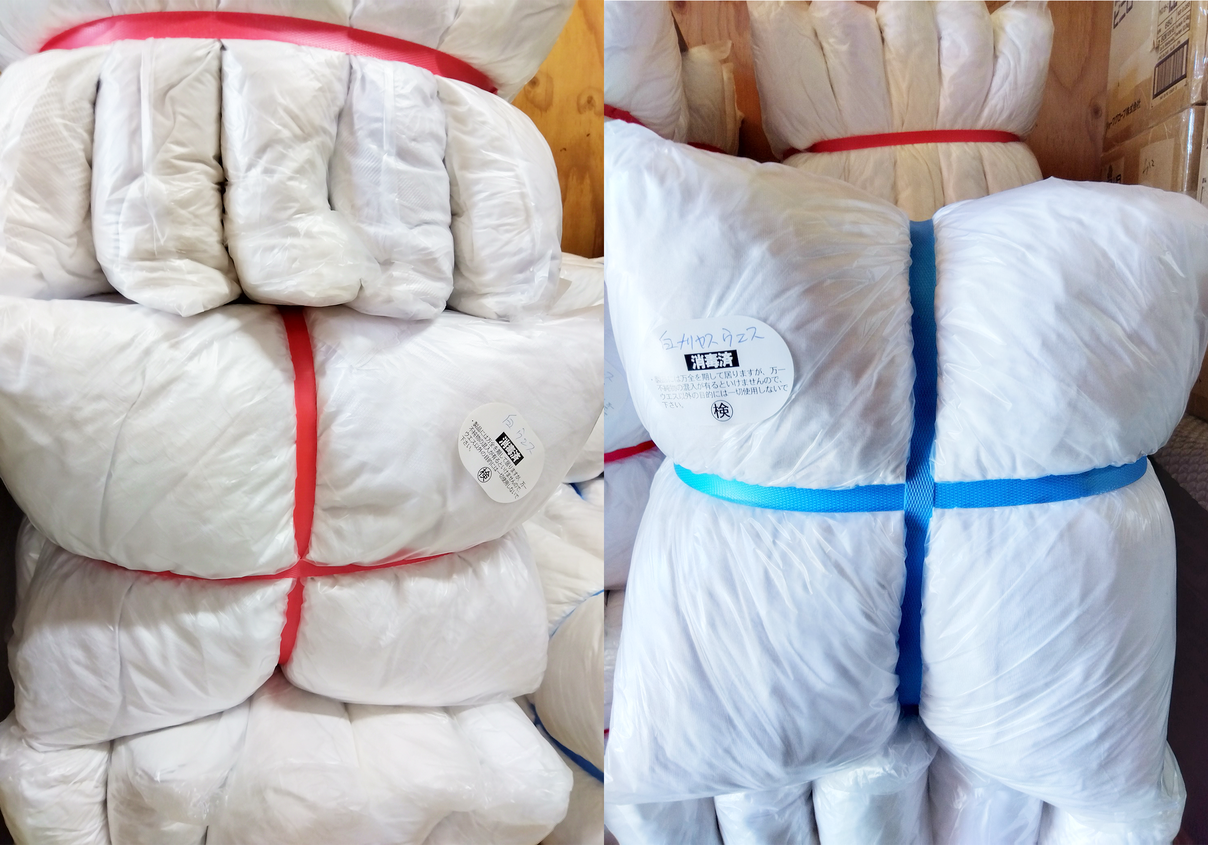 白ウエス・色メリヤス画像